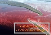 Незвычайнае чырвонае возера на поўначы Канады