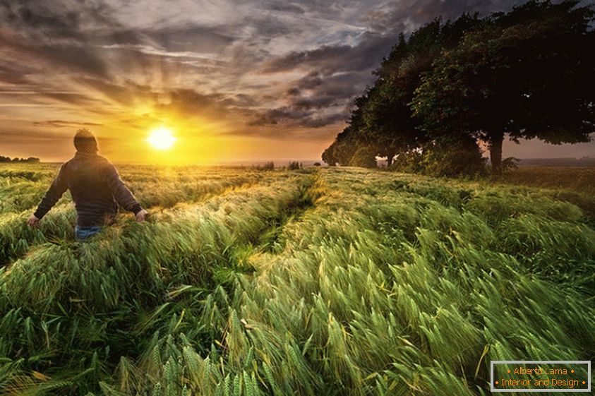 Мужчина на пшеничном поле, фотограф Пол Вазняк