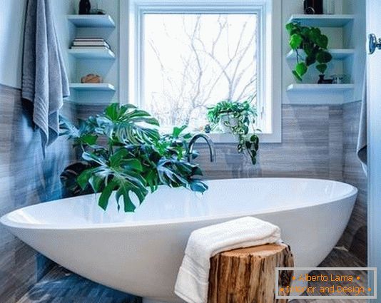 Невялікая ванная з зялёнымі раслінамі