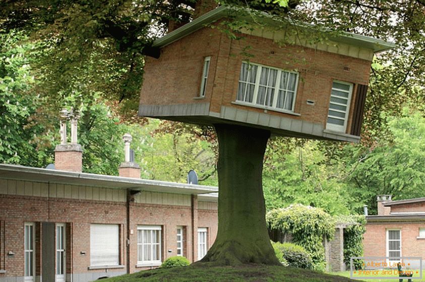 Senior Center Turned Treehouse (Гент, Бельгія)