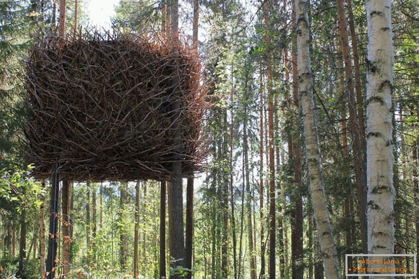 Птушынае гняздо Tree House (Швецыя)