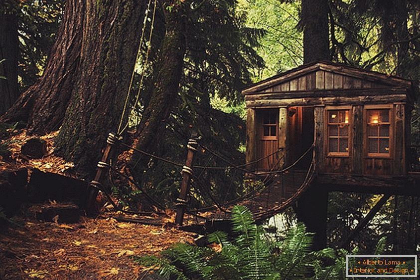 Treehouse in Seattle (Сіэтл, ЗША)