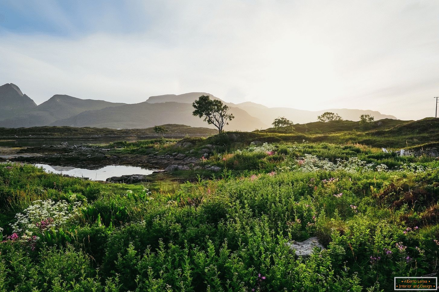 Сакавіты пейзаж палёў Нарвегіі