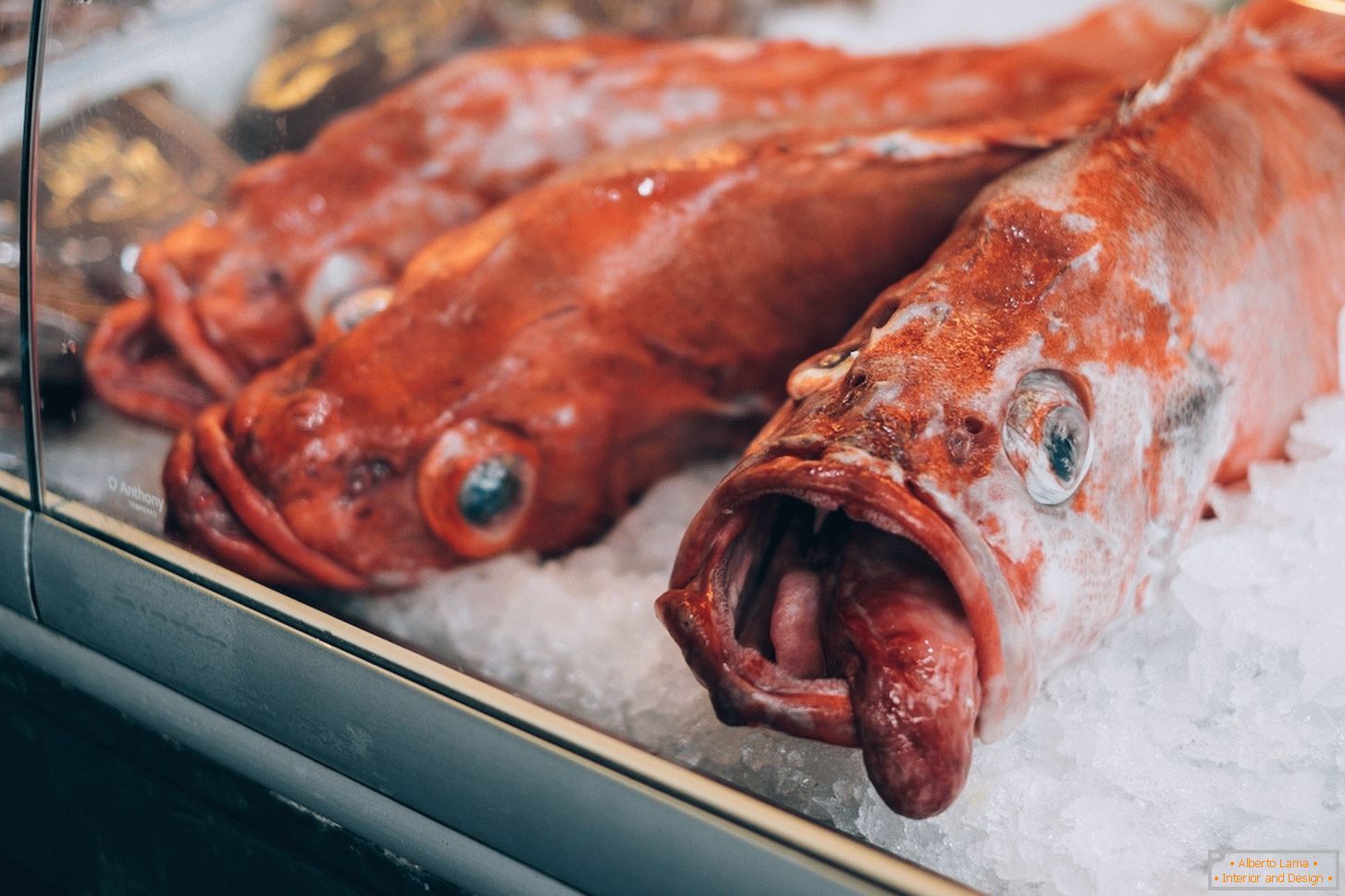 Марожаная рыба на рынку ў Бергене
