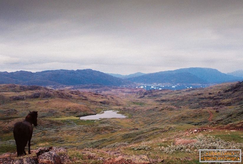 Плёночные пейзажи Гренландии Кармэн Marchena