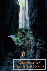 Вакол Святла: Каменны лес на Мадагаскары