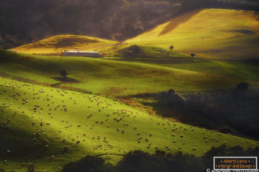 Пейзажы Новай Зеландыі Dylan Toh